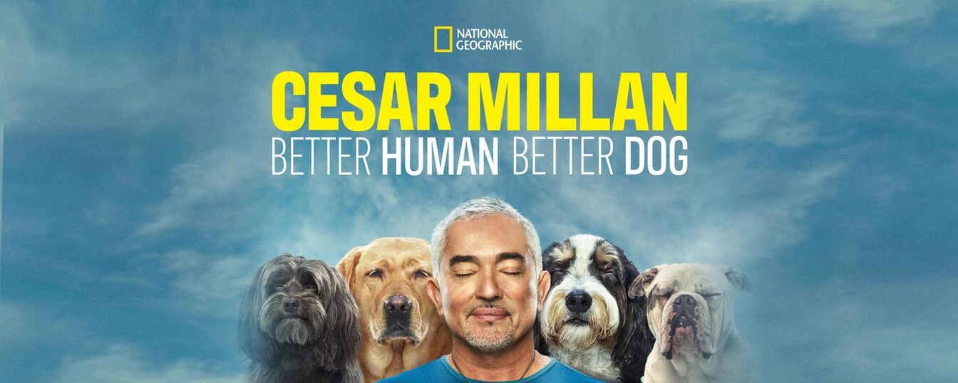 Cesar Millan: Better Human Better Dog official banner